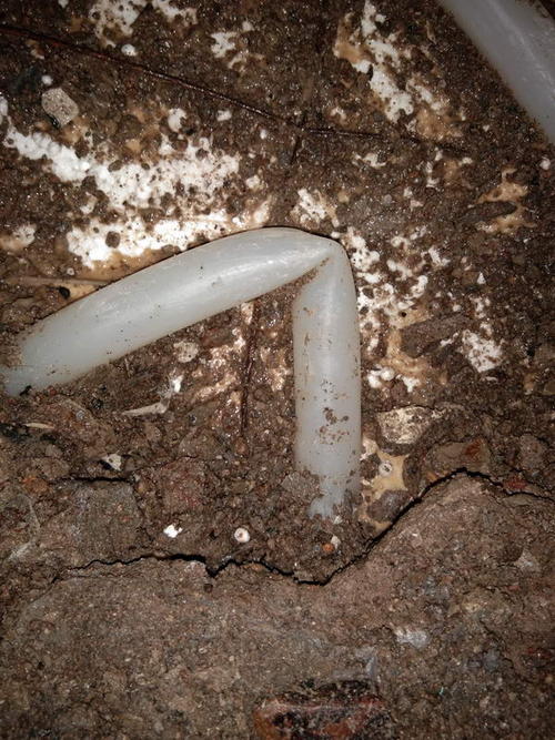 龙井堵点精准查找